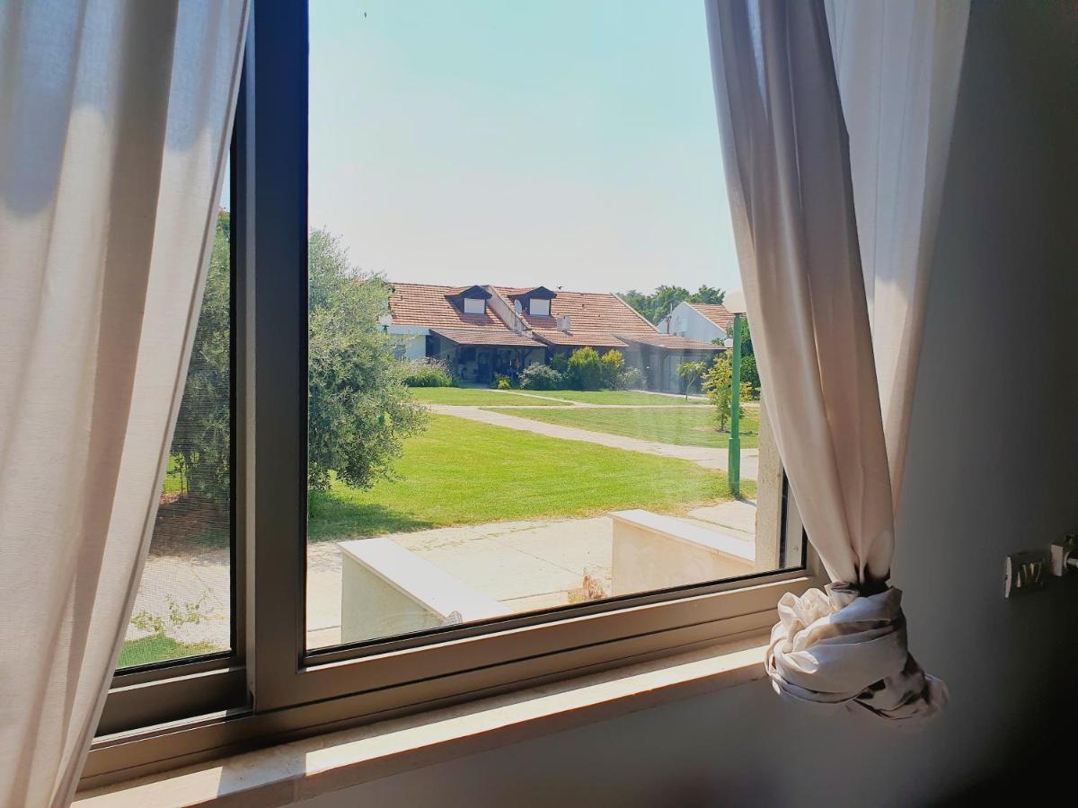 Gilboa View - יחידת אירוח מתוקה Apartment Reshafim Bagian luar foto